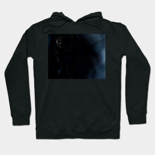 Gone to the Wall... Hoodie